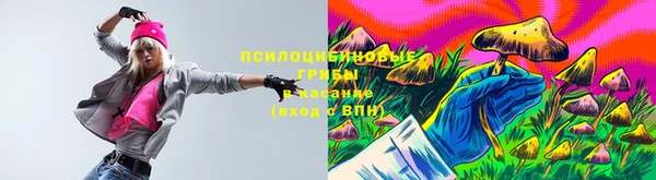 МДПВ Куйбышев