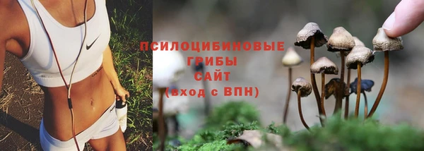 mdma Лагань