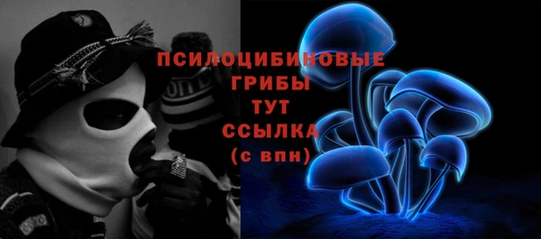 mdma Лагань