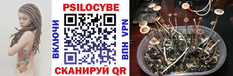 Галлюциногенные грибы Cubensis Лесосибирск