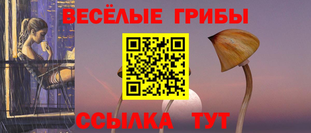 Галлюциногенные грибы ЛСД  Вход с VPN  Лесосибирск 